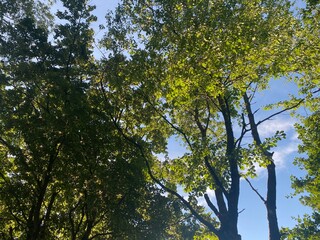 Nature, Buuilding, camping and other everyday Things and Moments