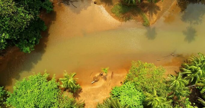 From above a river between the forest at Prince Island.Pr&iacute;ncipe is the world's first Biosphere Reserve by UNESCO,Sao Tome,Africa
