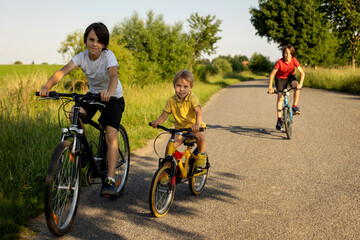 Naklejka premium Cute happy children, brothers, riding bikes in the park on a sunny summer day