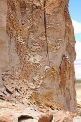 Rock cathedrals in Salar de Tara, Chile