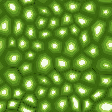 Abstract modern turtle shell seamless pattern. Animals trendy background. Green decorative vector illustration for print, fabric, textile. Modern ornament of stylized skin