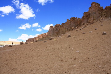 Panoramic view over the Atacama desert near Salar de Tara in Chile