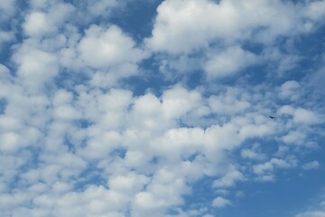 Blue sky covered with white cumulus clouds
