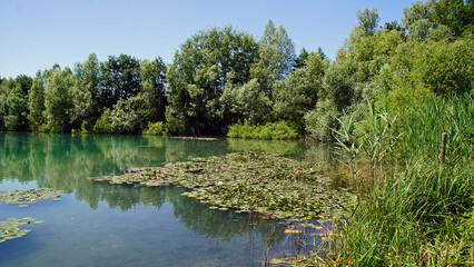 Jochimsee (Tongruben) Heppenheim