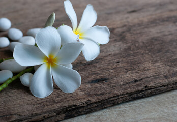 Fototapeta na wymiar Frangipani flowers with white stones on a rustic wooden table.