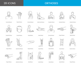 Orthoses linear icons in vector