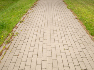 Paving slabs in the park.