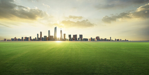 3D render grass field with city background - obrazy, fototapety, plakaty