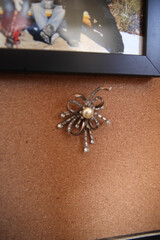 cat, animal, kitten, pet, computer, office, feline, cute, domestic, pets, telephone, desk, fur, business, phone, kitty, mammal, laptop, chair, cats, technology, tabby, communication, looking, SQUIRREL