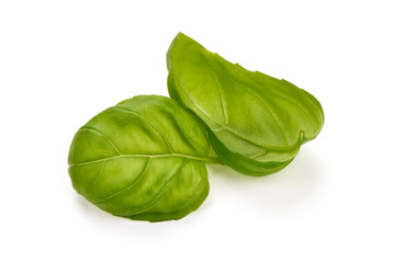 Basil leaves isolated, isolated on white background.