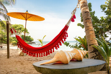 Paradise, beach and hammock