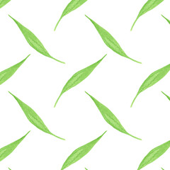 Watercolor seamless pattern with eucalyptus branches on a white background. Foliage, greenery, eucalyptus leaves. For textiles, wallpaper, invitations, greetings.