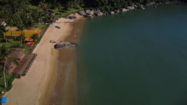 Aerial view to a small beach with the atlantic forest at the coast of Paraty, Rio de Janeiro - Brasil