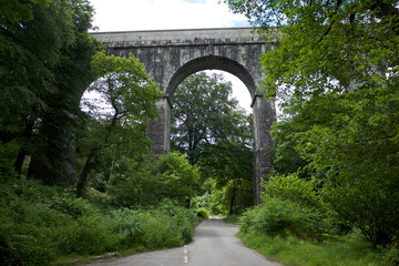 Fototapeta na wymiar Treffry Viaduct 19th century industrial remains and World Heritage Site The Luxulyan Valley or Glynn Gwernan meaning alder tree valley River Par Cornwall England UK 