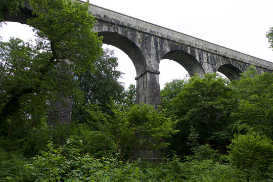 Treffry Viaduct 19th century industrial remains and World Heritage Site The Luxulyan Valley or Glynn Gwernan meaning alder tree valley River Par  Cornwall England UK 