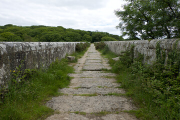 Treffry Viaduct 19th century industrial remains and World Heritage Site The Luxulyan Valley or...