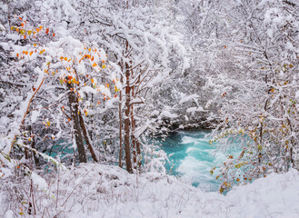 Winter meets autumn on a snowy and cloudy day