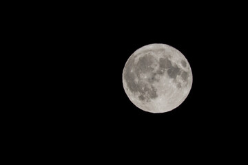 Close up of supermoon with visible craters on its surface on black night sky background with copy space	