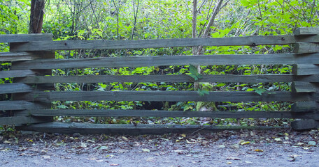 Wooden fence in the woods - vacouver canada