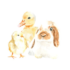 Watercolor farm animals together. domestic pet isolated cute spring flora animal. Nursery woodland illustration. Farmhouse Easter for baby shower invitation, nursery decor, print, greeting card