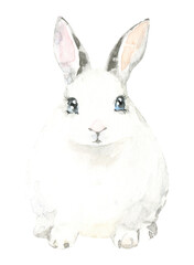 Watercolor farm animal squirrel. Single domestic pet isolated cute spring flora animal. Nursery woodland illustration.Farmhouse animsl for baby shower invitation, nursery decor, print, greeting card