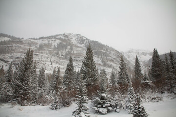 Obraz premium Snow covered mountains