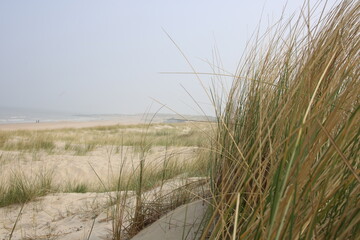 Dünen und Strand