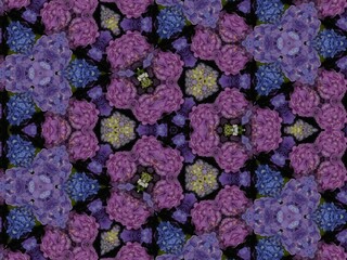 水に浮かぶ紫陽花