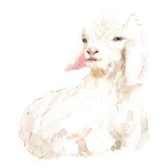 Watercolor farm animals together. Goat domestic pet isolated cute spring flora animal. Nursery woodland illustration. Farmhouse Easter for baby shower invitation, nursery decor, print, greeting card

