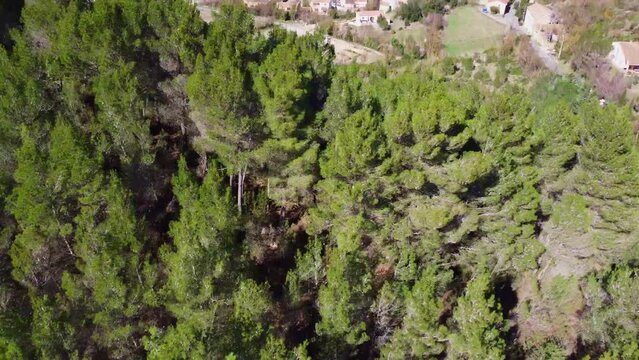Vue d'un village &agrave; travers les arbres. Suivi d'une for&ecirc;t en d&eacute;couvrant une ville &agrave; la fin.