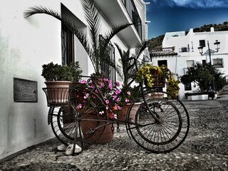 Bicicleta con flores en Frigiliana