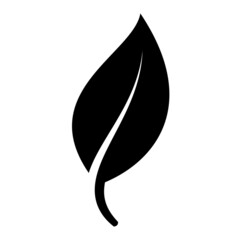 Leaf nature design illustration. Leaves icon