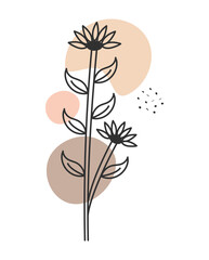 natura plant illustration © Grgroup