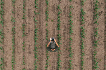 Aerial view of farm worker using drone in cultivated corn crop field, drone pov