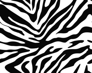 Fototapeta na wymiar Zebra pattern vector texture seamless black and white texture for print. Animal skin