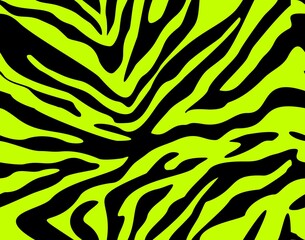 Zebra lines vector animal pattern, seamless texture, trendy print.