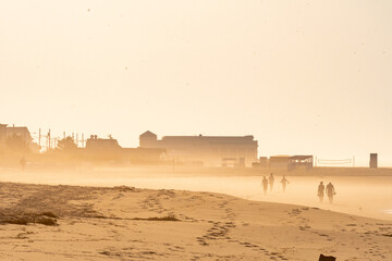 Haze and blowing sand on the beach at Cape May in Capy May, New Jersey, USA - obrazy, fototapety, plakaty