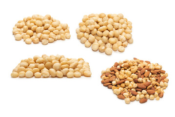 Macadamia nuts isolated on white background.