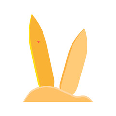 surfing boards on isolated white background