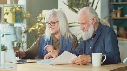 An Elderly Man and Woman Pay Bills And Manage a Budget, Do Accounting Checks, Check Receipts With a Laptop While Sitting at Their Desk at Home. Modern Devices, Technology and Retirement Concept.