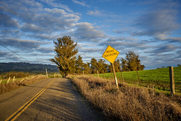 rural road with warning sign: Road Narrows