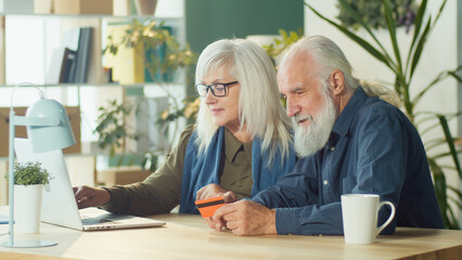Excited Happy Elderly Couple Shopping Online From Home Using Computer and Credit Card. Online Shopping, Selection of Goods for Ordering on the Internet. Modern Technologies and Retirement Concept.
