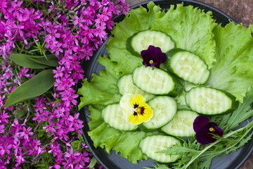 Black plate with salad on green grass. Fresh herbs and cucumber on a black plate. Lettuce leaves, cucumber slices and violet flowers. Cooking healthy food concept. View from above. copy space
