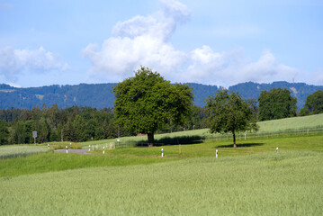 Aerial view of rural landscape with winding country road at village of Forch, Canton Zürich, on a blue cloudy summer morning. on a Photo taken June 8th, 2022, Forch, Switzerland.