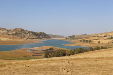 Green lake landscape between wheat fields.