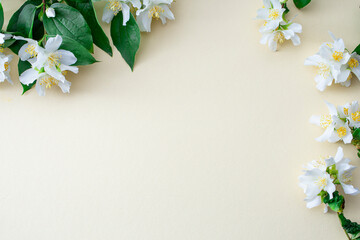 Naklejka na ściany i meble white blossom flowers on beige paper, invitation backdrop 