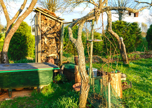 The Backyard Garden In Spring, Small Garden With Seating Area, Gardening As A Hobby