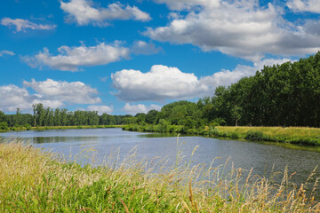 Beautiful tranquil peaceful rural dutch landscape, natural bend course of river Maas, green forest, blue summer sky - Maasvallei, Limburg, Netherlands