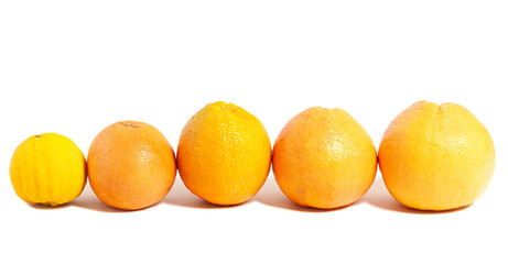 Fresh Citrus Fruits. Lemon, Orange, Grapefruit isolated on a white background