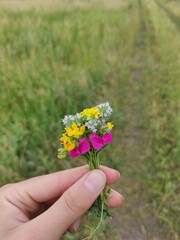 Fototapeta na wymiar flowers in the hand